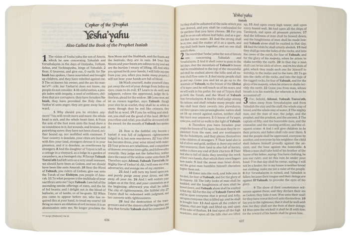 אתCEPHER Millenium Edition Softbound