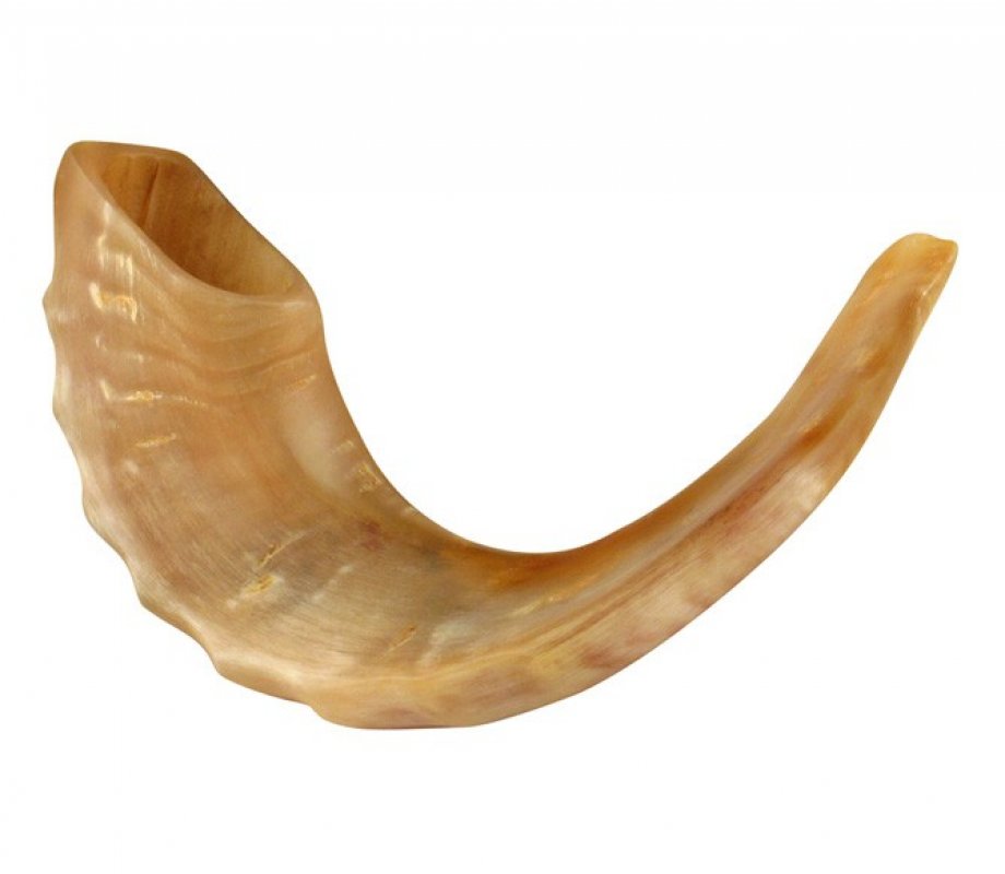 Merino (Rams Horn) Shofar Half Polished - Touching His Hem