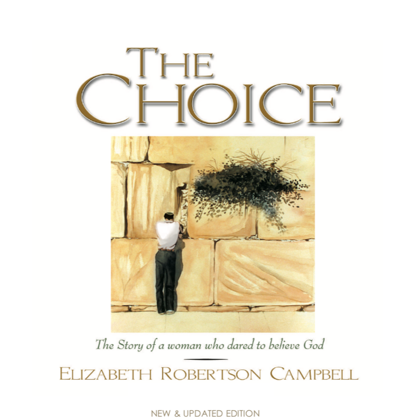 The Choice ePub - Touching His Hem