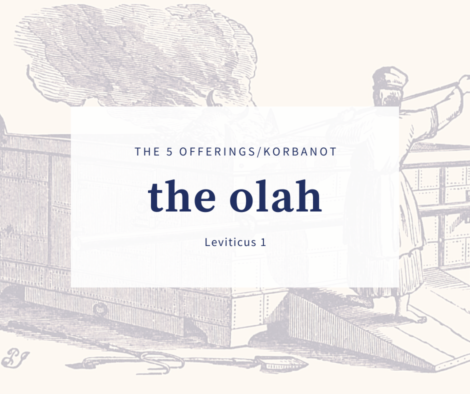 The 5 Korbonot - Part 1 The Olah Offering