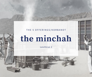 The 5 Korbonot - Part 2 The Minchah Offering