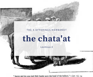 The 5 Korbonot - Part 4 The Chata'at Offering