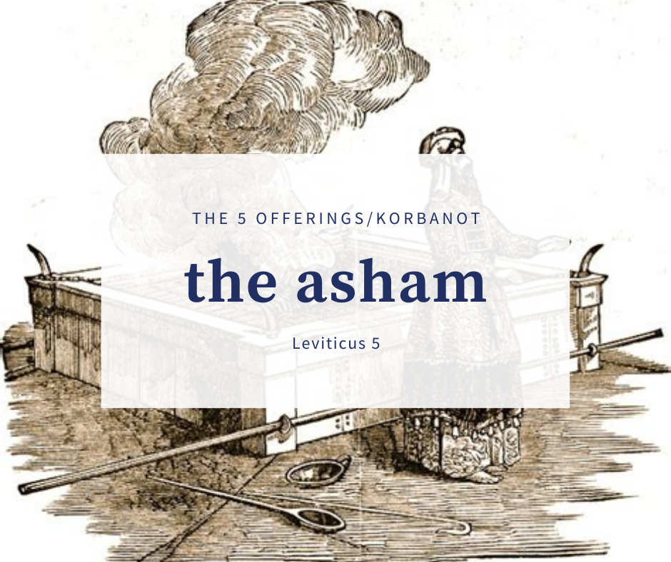 The 5 Korbonot - Part 5 The Asham Offering