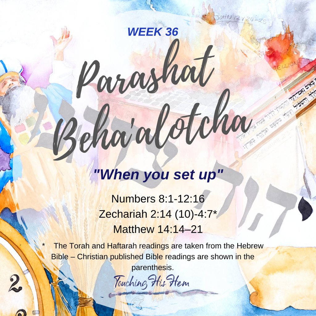 Torah Portion - Beha’alotcha (When You Set Up)