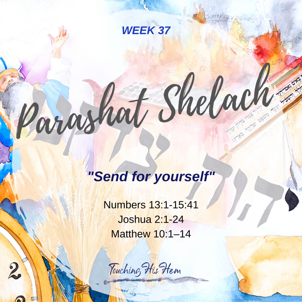Parsha Shelach - Send for yourself