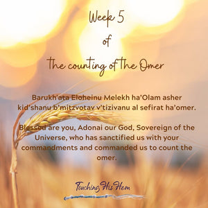 Week 5 of the Counting of the Omer - A Reflective Study