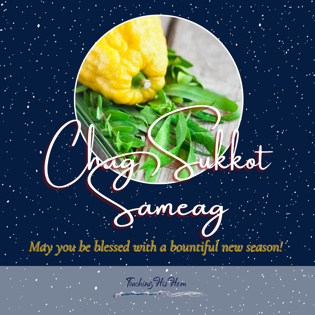 “Come, dwell under His wings” - Sukkot for All