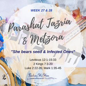 Parsha Tazria a' Metzorah