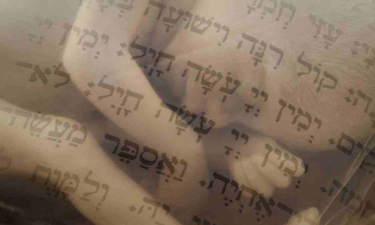 The miracle of life in Elohim's Appointed Seasons