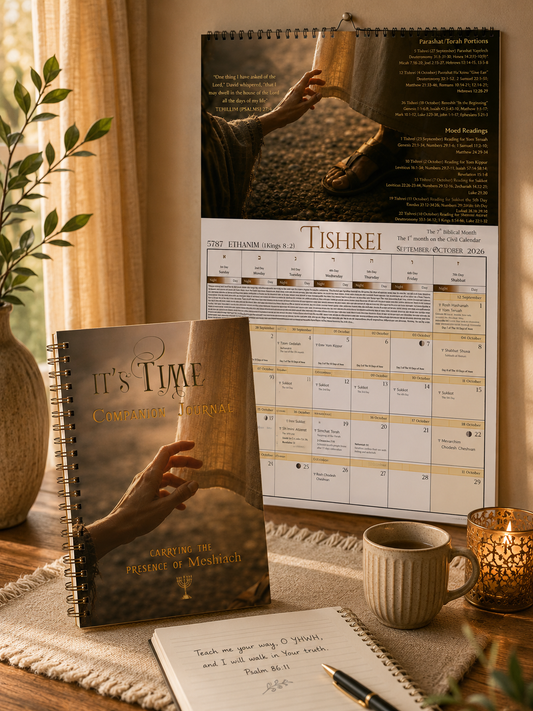 It's Time 5787 Bundle - Touching His Hem