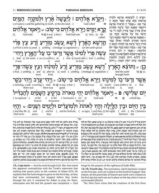 Schottenstein Ed Interlinear Chumash Vol 5: Devarim / Deuteronomy