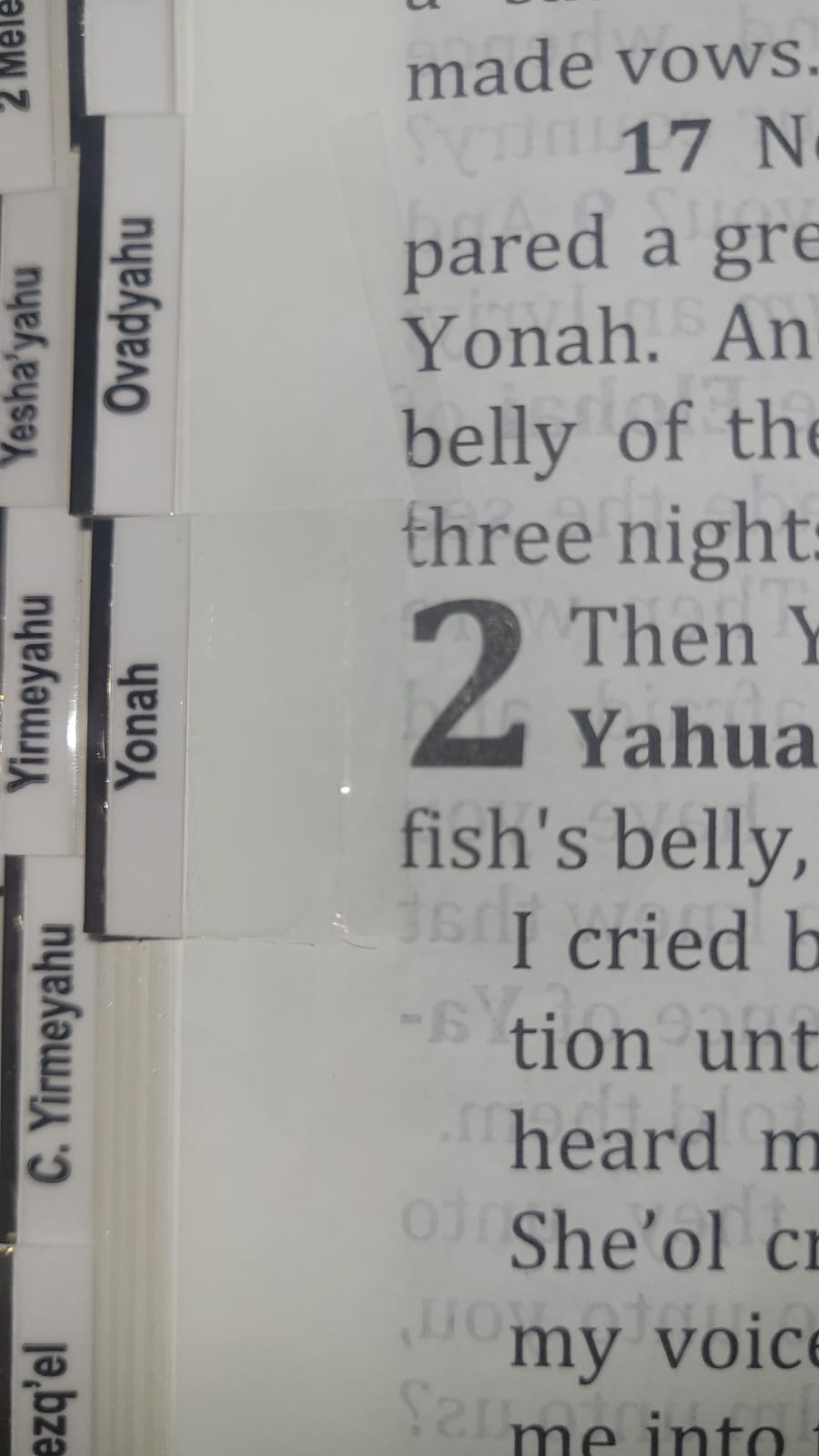 Blemished אתCEPHER