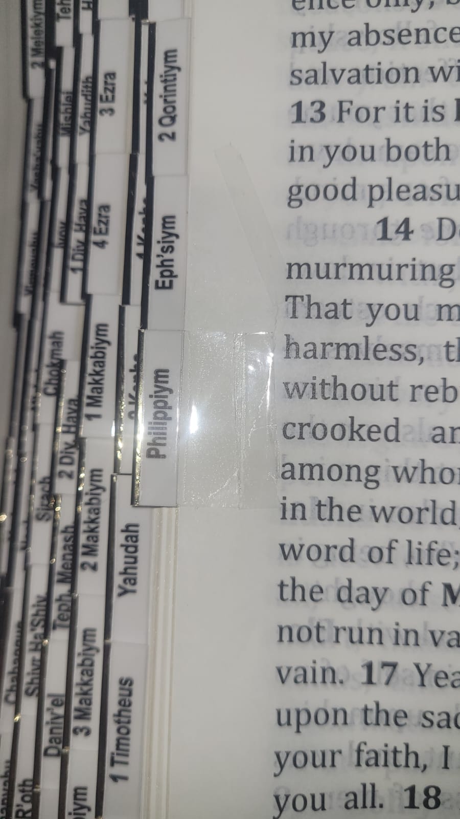 Blemished אתCEPHER