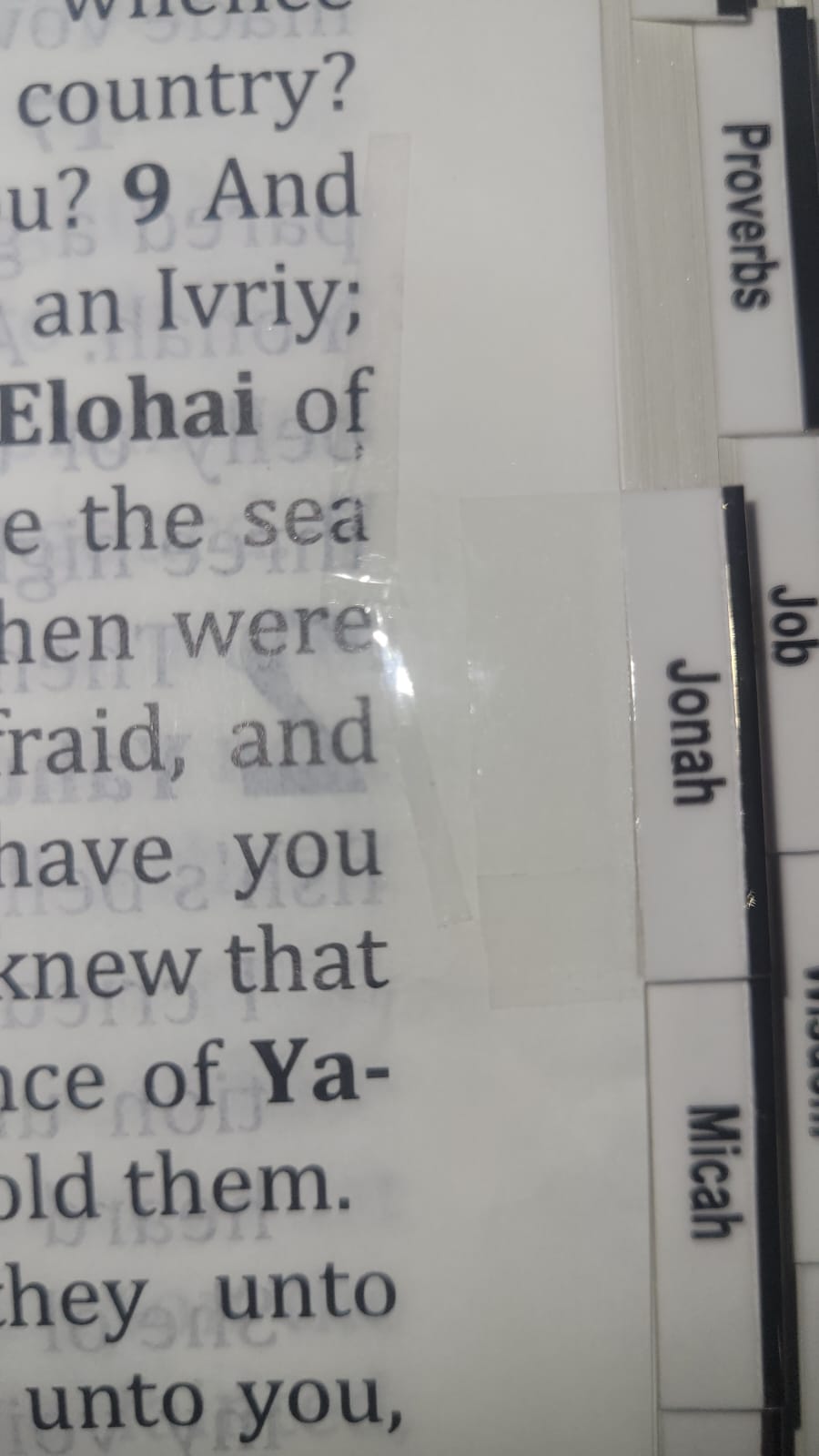 Blemished אתCEPHER