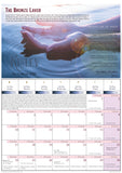 "It's Time" Calendar Volume 4 5783 - Touching His Hem