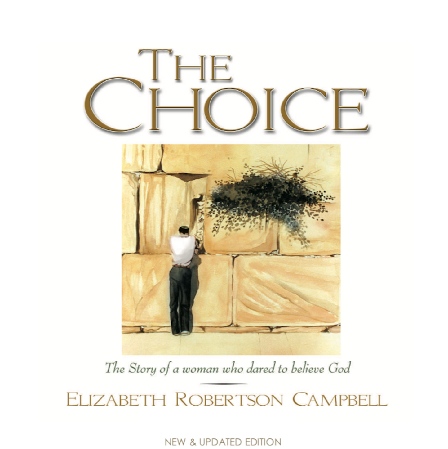 The Choice Kindle - Touching His Hem